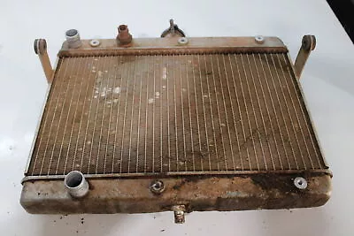 2007 Suzuki King Quad 700 Lta700x 4x4 Engine Radiator Motor Cooler Cooling #3749 • $59.95