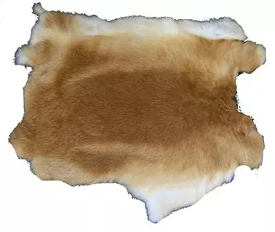 NATURAL LIGHT BROWN GENUINE RABBIT SKIN New Solf Tan Hide Pelt Craft Skins Bunny • $10.05