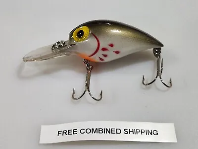 Pre Rapala Storm Magnum Wiggle Wart Crankbait Bleeding Tennessee Shad AV201 • $23.95