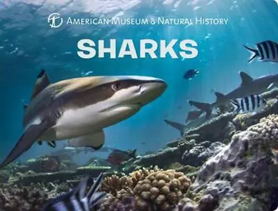 Sharks [Science For Toddlers] By American Museum Of Natural History  Board_book • $5.22