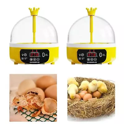 Egg Incubator Poultry Hatcher Machine Hatching USB Egg Hatcher Machine Chicken • £22.25