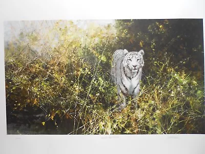 DAVID SHEPHERD ~ **THE WHITE TIGER Of REWA**  Signed PRINT - • £445