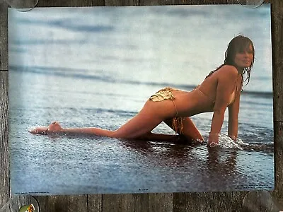 BO DEREK Vintage Poster 1980 Hot Babe Sexy Girl Beach Beauty Mancave Garage Shop • $32