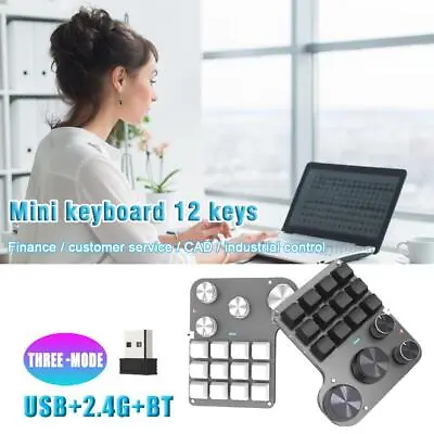 HotSwappable DIY Gaming Keypad 12Key Mini Mechanical Keyboard Pad New I8 • $68.60