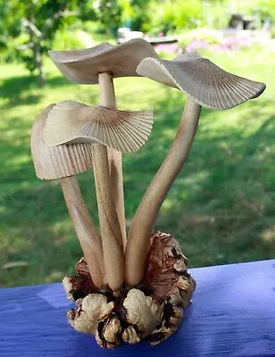 Magic Mushroom Shroom Parasite Wood Carving Bali Art Sculpture Hand Carved • $67.99