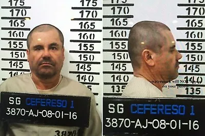 Joaquín El Chapo Guzmán Mug Shot PHOTO Mexican Drug Lord Sinaloa Cartel Gangster • $4.28