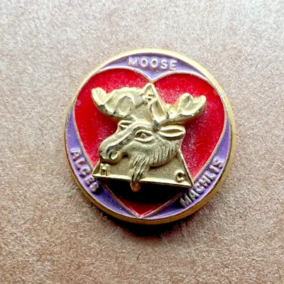 Lapel Pin Loyal Order Of Moose Vintage Moose Alces Machlis Lodge Gold Tone • $8.09