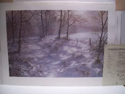 David Dipnall Where Bluebells Grow Limited Edition Winter Scene Landscape • £69.95