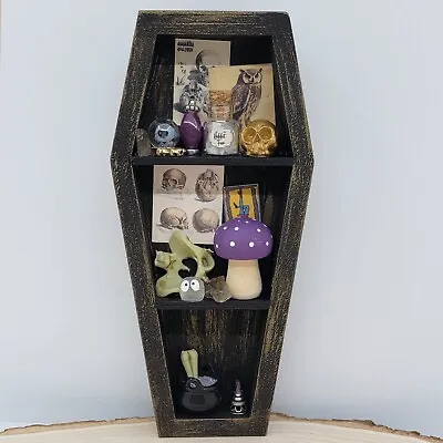 Coffin Shelf Halloween Witch Room Shadow Box Diorama Miniature Haunted Dollhouse • $35.24