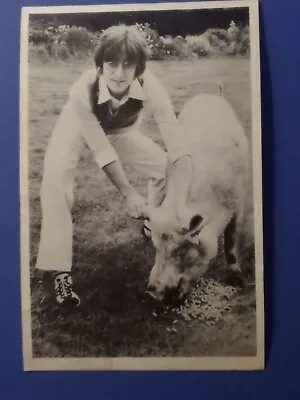 £9 • Buy John Lennon Photo Photograph Pig Imagine 6”x4” Black White Pre-Printed
