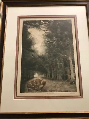 G H Rothe  Solitude  Mezzotint Limited Edition Print W/COA Signed Framed • $1799.99