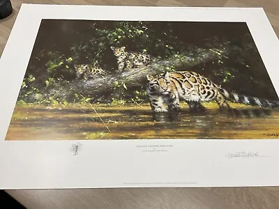 David Shepherd Pencil Signed Limited Edition Print - Clouded Leopard And Cubs • £95