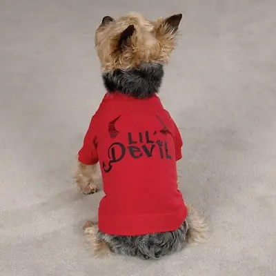 Zack & Zoey Lil Devil Dog Halloween Shirt XL Pet • $15.46