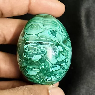 Green Palm Size Malachite Egg For Healing With Amazing Markings - 106 Gms -MAL06 • $42