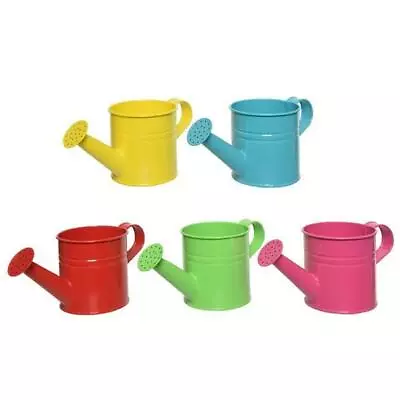 Coloured Metal Garden Plant Watering Can With Rose 210mm • £6.98