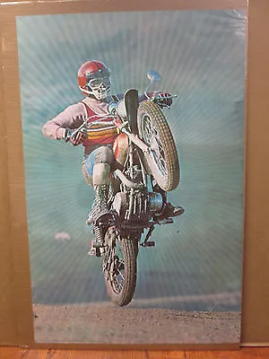 Vintage 1973 Dirt Bike Original Mx Poster  9061 • $39.97