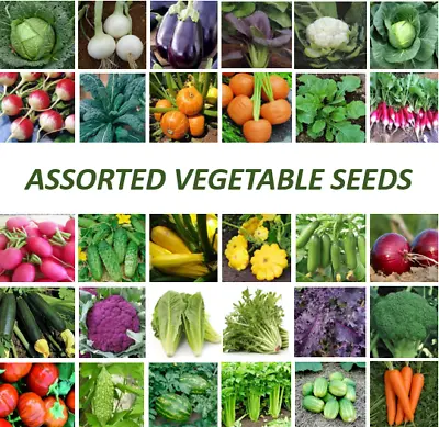 Choose Your Garden Seeds Vegetable Seeds Biggest  Cheap Collection Choose Garden • $4