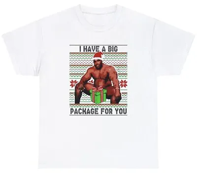 Mens I Have A Big Package For You T Shirt Funny Meme Christmas Barry Wood Tee • $24.99