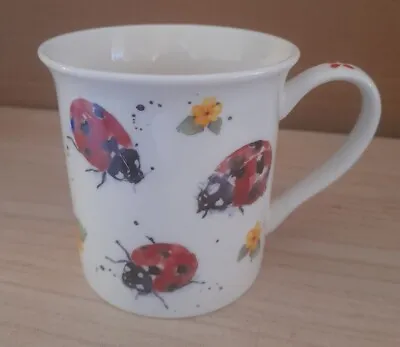 Jennifer Rose Gallery Ladybirds Mug Lesser & Pavey Leonardo China Coffee Cup Tea • £0.99