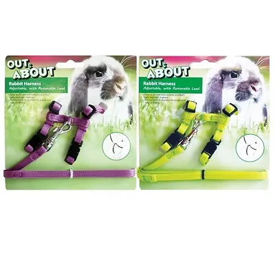 Small Animal Harness & Lead Set Happy Pet Rabbit Ferret Adjustable Purple Green • £7.21