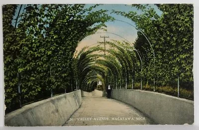 Macatawa Michigan View On Valley Avenue Postcard T13 • $3.95