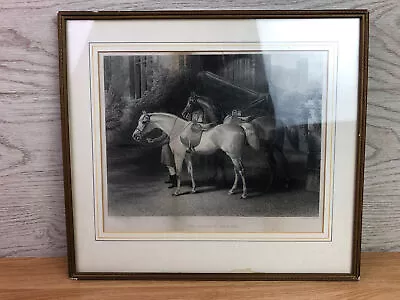 The Queen's Horses J F Herring Pinxt C Cousen Sculpt Ramed Etching Print  • £39.99