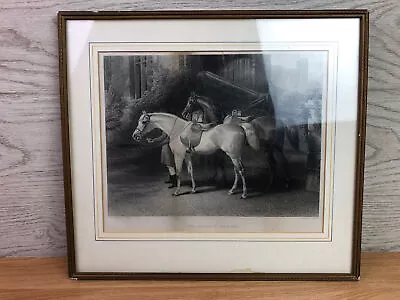 The Queen's Horses J F Herring Pinxt Etching Print • $49.31