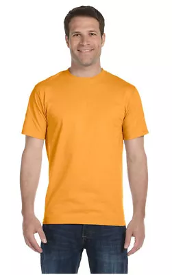 Hanes Mens 100% Cotton Authentic-T T-Shirt S-3XL 5250T • $9.09