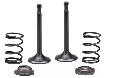 Intake Exhaust Valve Spring Set For Coleman BT200X CT200 CT200U-EX Mini Bike • $24.99