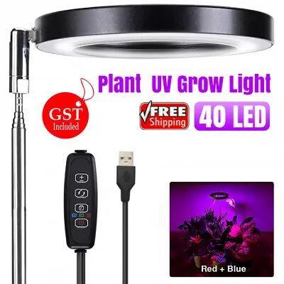 Full Spectrum Plant 48 LED UV Grow Light Veg Lamp For Indoor Hydroponic Plant • $17.45