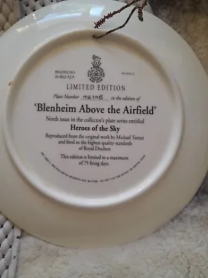 £100 • Buy Royal Doulton Limited Edition Airplane Plates