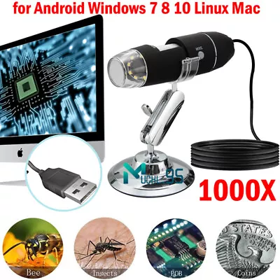 1000X USB Digital Microscope 8 LED Magnification Endoscope Camera For Windows • $21.79