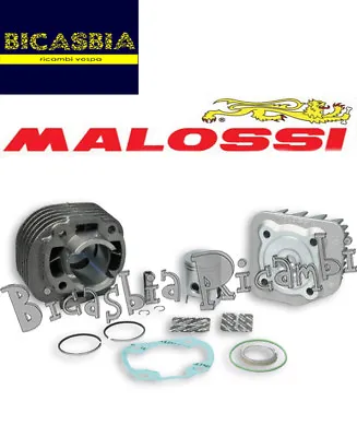 11732 - Cylinder Malossi DM 40 Cast Iron SP.10 Malaguti F12 Phantom - CPI • $161.90