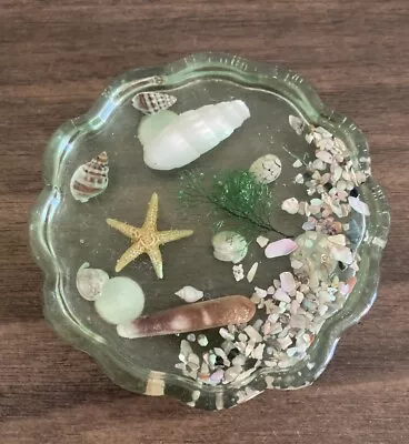 Lucite Resin Coasters Under The SEA Abalone Sea Shells Seaweed Starfish Vintage • $5.99