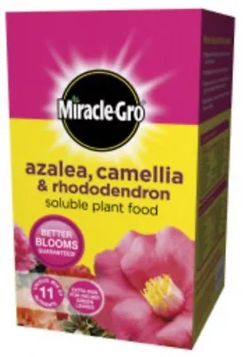 Miracle Gro Azalea Camellia Rhododendron Soluble Plant Food Vital Nutrients 1KG • £8.79