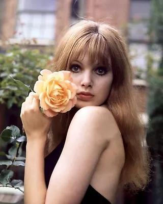 Madeline Smith 10  X 8  Photograph No 4 • £4