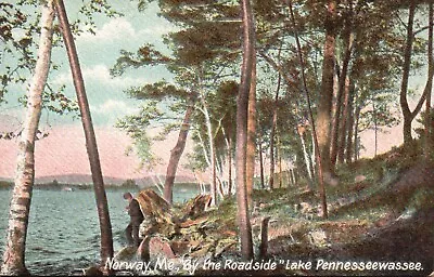 Postcard ME Norway By The Roadside Lake Pennesseewassee Vintage PC F1921 • $5