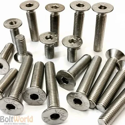 A2 & A4 Stainless Steel M12 Countersunk Csk Socket Cap Allen Bolt Screws • £37.24