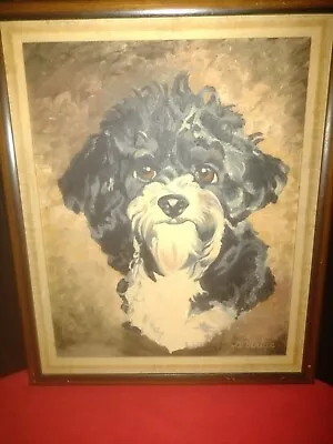 Vintage Oil On Canvas Board Dog Painting Signed D.Virtue • $300