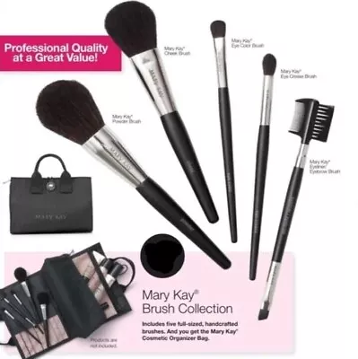 Mary Kay Brush Professional  Collection & Cosmetic Organizer Travel Case Bag • $31.50