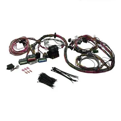 Painless Wiring 60502 1992-1997 GM Chevy LT1 650 Standalone Engine Harness • $649.99