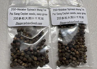 2bag Of 200+Malabar Spinach Mong Toi Poi Sang Ceylon Seeds Easy Grow +粒大圆叶木耳菜 • $4.99