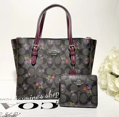 NWT Coach Mollie Tote 25 In Signature With Country Floral Print CM072+wallet Set • $339