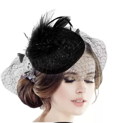 Black Feather Mesh Fascinator Veil Mini Hat Clip Wedding Tea Cocktail Party • $12.95