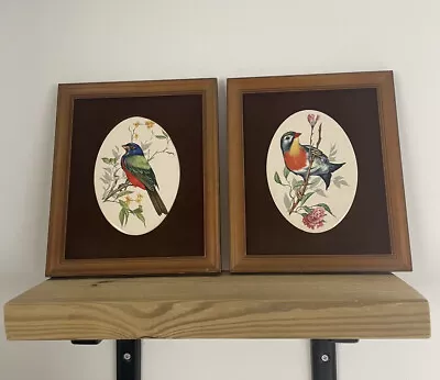 Pair Of Maw And Co LTD Framed Exotic Birds Vintage No.4 And No.6 Artwork Retro • $37.29