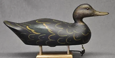 Mason Premier STYLE BLACK DUCK Duck Decoy  Darkfeather Freedman Hunting Rig 2021 • $389