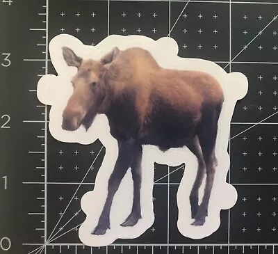 Moose Vinyl Sticker/Decal/Photo Alaska Homemade Animal Wildlife Waterproof  3  • $3.49