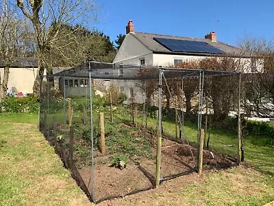 Walk In Fruit Cage Vegetable Protect Soft Crops All Sizes Anti Bird Net & Frame • £200