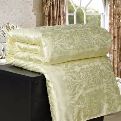 Summer Winter Silk Quilt Comforter Duvet Filling Natural/Mulberry Silk Blanket • $54.46