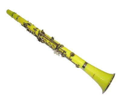 Bb 17 Key ClarinetCase 11 Reeds ~Black Red Blue Green Yellow White Pink Purple • $74.99